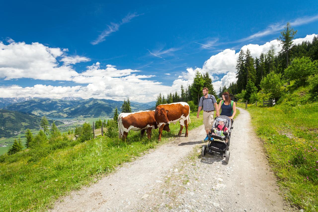Apartment Ski&golf Zell Am Zell am See